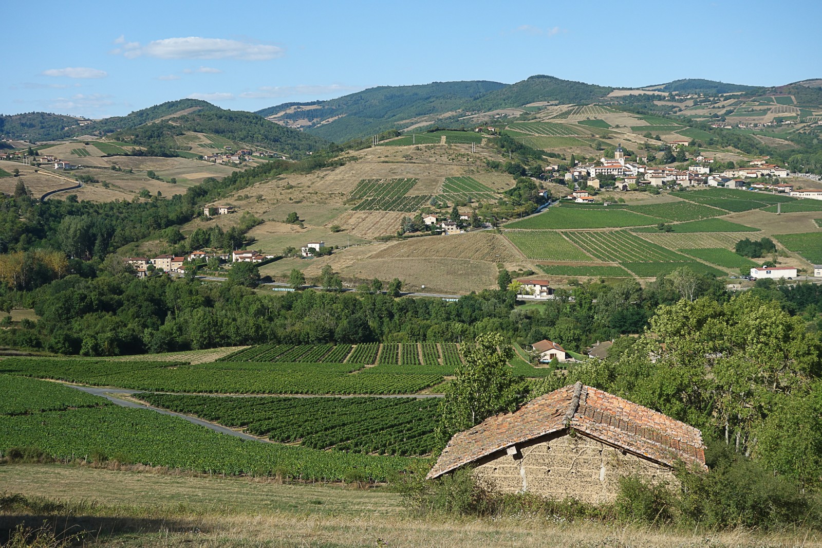 Paysage du Beaujolais