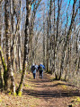 Boucle de Fontain à La Chapelle des Buis