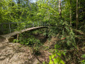 1ère passerelle sur la Drize