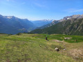 2165 m, en descendant, la piste bleue du chemin, et la bergerie