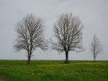 Panoramas autour de Plasne