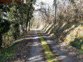 Route qui monte vers la Roche (entre les points 9 et 10)