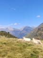 À proximité du lac de Bassia