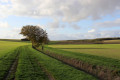 A travers les champs de la Champagne Berrichonne