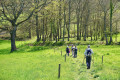 Across the pastures
