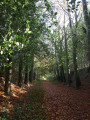 Vallon de Kermabeuzen et Bois de Saint-Conogan