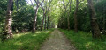 De Roissy-en-Brie à Ozoir-la-Ferrière par la Forêt de Ferrières