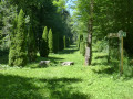 Allée du cimetière des pestiférés