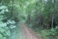 Allée forestière dans le Bois d'Enfiré