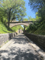All&eacute;e