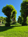 Le Bois de Morval par le village de Banthelu