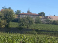 A la découverte des vignobles épisodes 3