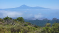 Alto de Garajonay