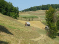 Les collines d'Alunis à Suplai