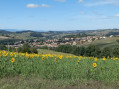 Parc des éoliennes depuis Amplepuis