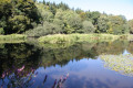 Ancien étang du Moulin de Frémeur