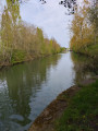 Variante de la catorive depuis Annezin