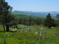 Aperçu de la Montagne Ardéchoise