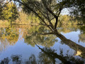 La prairie et des bords de la Seille à Sornay