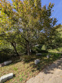 Petit tour des moulins d'Ouroux-en-Morvan