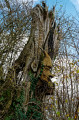 Arbre sculpté de la Chapelle de Locjean