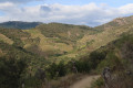 Arrière Pays de Banyuls