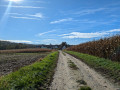 Arrivée à Magstatt-le-Haut