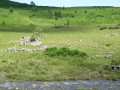 Courtaou et cabane des Esclozes