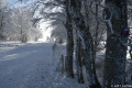 Arrivée sur piste ski de fonds avant le parking