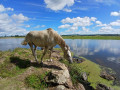 Balade des eaux calmes à Artaix