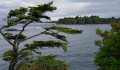 au Cape Flattery