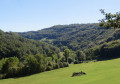 Au creux du vallon