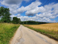 Au début du chemin