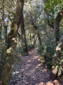 Starting point of the hike