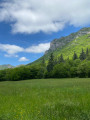 Sur les pas des Muletiers - Forêt de Saoû