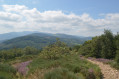 Au sommet du Mont Monnet, vue sur le Mont Pilat.