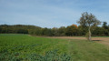 De la Ferté-Alais à Étréchy, de l'Essonne à la Juine