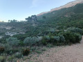 Autre vue du plateau de Vitrolles depuis la colline