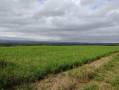 Autre vue sur les Pyrènèes