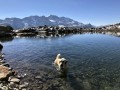 Baignade dans le Lac de l'Âne