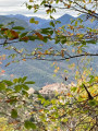 Plateau du lac depuis bairols avec retour par le sentier des châtaigniers