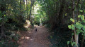 Dans les bois à l'Est et au Sud de Bouloc