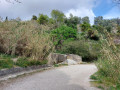 Bambouseraie au canal de Gairaut