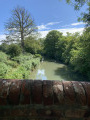 Around Dogmersfield on the Basingstoke Canal