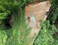 Bateau abandonné