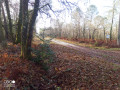 En forêt depuis Naujac-sur-Mer