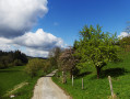 Beau paysage du Jura