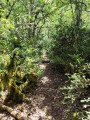 Boucle de Font Belle au départ de Gardanne