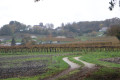 Belle vue sur l'Eglise Saint Eugène en haut de la colline