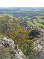 Belvédère des falaises de Baulme-la-Roche